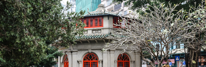 Octagonal Library