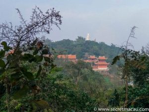 The Coloane Trail