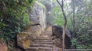 The Coloane Trail