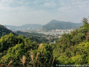 The Coloane Trail